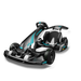 Segway Gokart PRO 2